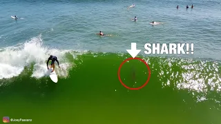 Awesome Shark Drone Footage. Sharks Swimming Close To Surfers. Real Shark Video.