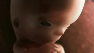 L’evoluzione della vita umana dal primo concepimento al parto. Questo video fa ricredere sull’aborto