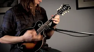 The LM-600 Professional Mandolin