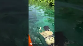 Surprising crocodile swimming in CENOTE Manati TANKAH Tulum Mexico