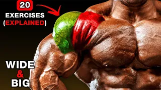 BEST Shoulders Exercises | TOP TRAINERS AGREE