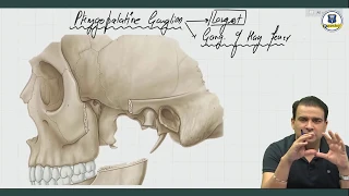 Parasympathetic Ganglia - Anatomy by Dr. Ashwani Kumar