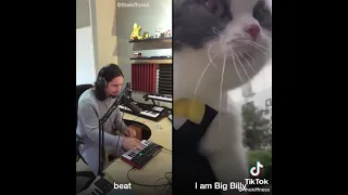Кот поёт!)
