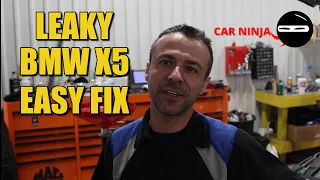 CAR NINJA! Leaky BMW X5 EASY FIX