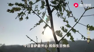 每天礼佛一遍，恭听佛歌《清心自在》，请给佛菩萨送上鲜花