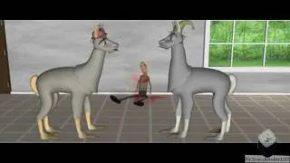 Lamas mit Hüten 1 [3D] (Fränkisch Fandub) + (German Subs)