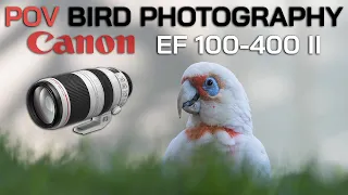 POV Bird Photography & Tips | Use Low Shutter Speed with Image Stabilisation | Canon EF 100-400mm II