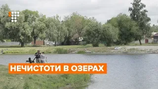 Нечистоти в озерах: чи виправдано Зеленський сперечався з мером Борисполя