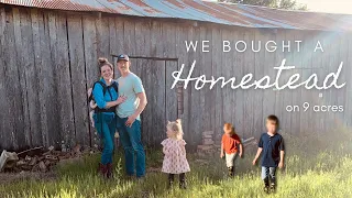 We Bought a Homestead on 9 Acres | Buying our First Home | We Bought Land!