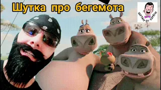 ✅Шутка про бегемота