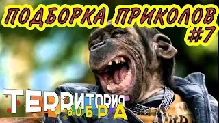 ЛУЧШИЕ ПРИКОЛЫ ЗА НЕДЕЛЮ ПРИКОЛЫ 2018 НОЯБРЬ ЛУЧШИЕ СМЕШНЫЕ ПРИКОЛЫ ПОДБОРКА #7