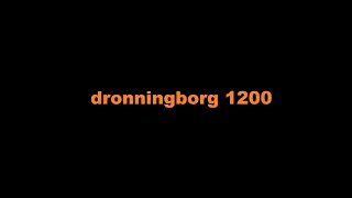 DRONNINGBORG D 1200 mowing wheat