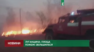 Луганщина: площадь пожара увеличилась