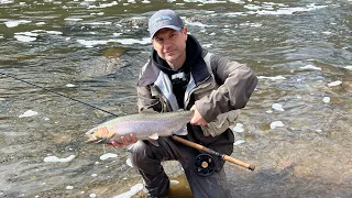 Centrepin fishing for steelhead and  brown trout Lake Ontario tributary.