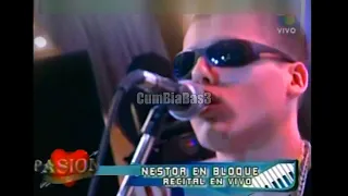 Nestor en Bloque - live【Pasión de Sabado | 60fps】2006