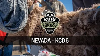 KUIU Conservation Direct: Nevada – KCD6
