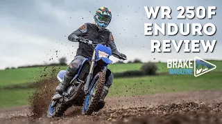 Is this the best value Enduro Bike available?  |  Yamaha WR 250F Review