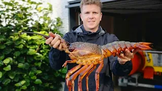 FREE-DIVING for HUGE Packhorse LOBSTER NZ- Living from the Ocean