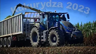 Oporowa 🔥 Kukurydza 🌽 2023  z UR Siemion