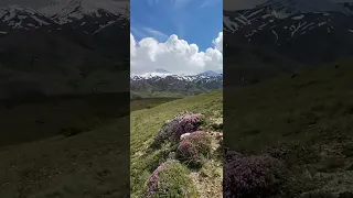 Keşiş dağı Erzincan