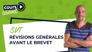 SVT 3e : révisions générales avant le brevet