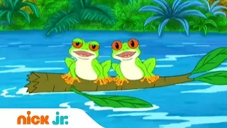 Гоу, Диего, Гоу! | Древесные лягушки | Nickelodeon