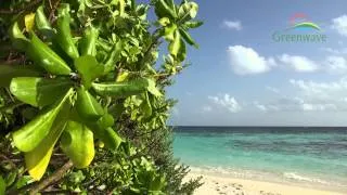 Tropical Island - Maldives - 4K