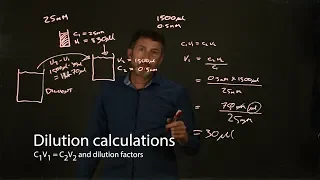 Dilution calculations