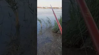 Рыбалка в Новороссийске, около пляжа Алексено.