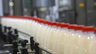Таджикистан нарастил производство отечественной кисломолочной продукции
