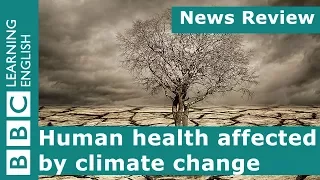 Human health affected by climate change: BBC News Review