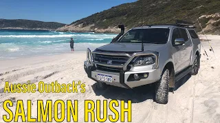 Cheynes Beach - Salmon Rush - Albany - Aussie Outback’s