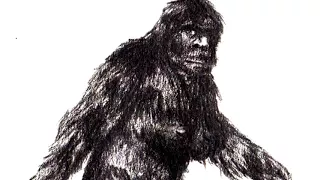 Cryptid Profile: Type one Bigfoot. "Patty"