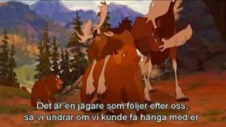 brother bear - On my way  (Swedish)