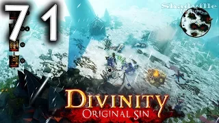 Divinity: Original Sin (PS4) Прохождение #71: Последний сундук и дом импов