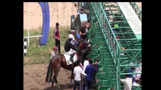 5.07.2014 г. Скачка на "ПРИЗ ВОЛЕЙБОЛИСТА" (Встреча дербистов)