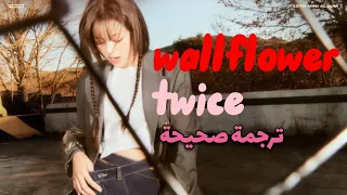 wallflower مترجمة للعربية (Arabic translation)