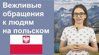 Учим польский язык. Вежливые обращения в польском языке.