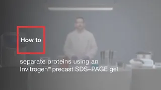 How to separate proteins using an Invitrogen precast SDS-PAGE gel