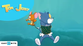 Nouvel ami | Tom & Jerry | Dessin animé #nouveaudessinanimé