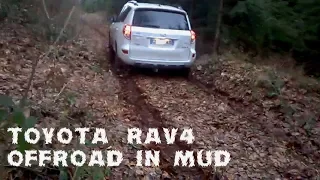 Toyota Rav4 - Offroad in Mud