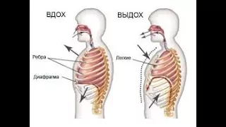 Упражнения для диафрагмы Часть2