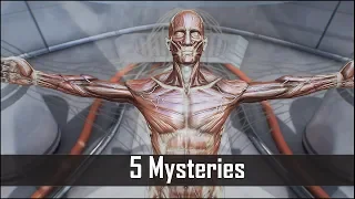 Fallout 4: 5 Spooky Mysteries You May Have Missed in the Commonwealth – Fallout 4 Secrets (Part 3)