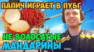 Папич играет в ПУБГ.  НЕ Волосатые мандарины и стримснайперы. Аим на месте