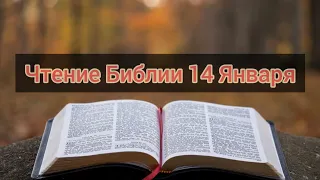 Ежедневное Чтение Библии 14 Января: Псалом 14, От Матфея 14, Бытие 27, 28