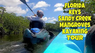 Ep 197 Mangroves Kayaking Sandy Creek in Florida Keys John Pennekamp Coral Reef State Park Part 2