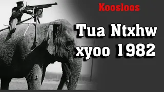 Tua Ntxhw xyoo 1982 6/4/2022