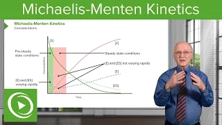 Michaelis-Menten Kinetics: Considerations & Time Relation – Biochemistry | Lecturio