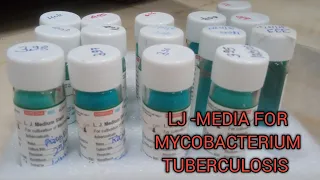 LJ MEDIA  | SPUTUM CULTURE FOR MYCOBACTERIUM TUBERCULOSIS