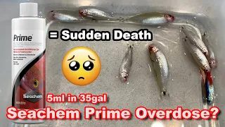 Seachem Prime almost killed all our fish - The Danger of using Concentrated Conditioner